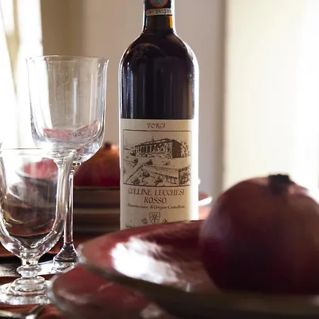 La Mansardina Beccheria 1 Double Bedroom, 1 Sofa Bed Apartamento Lucca